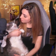Illustration for article titled Streamer Apologizes For Throwing Her Cat